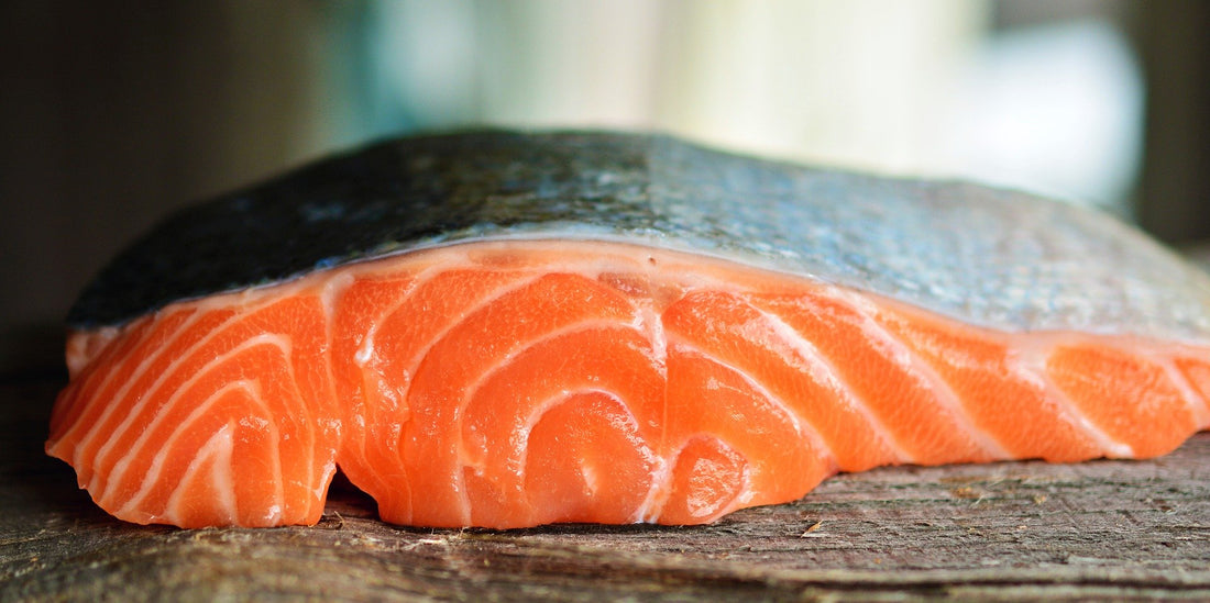 Why salmon and salmon oil are included in our diets