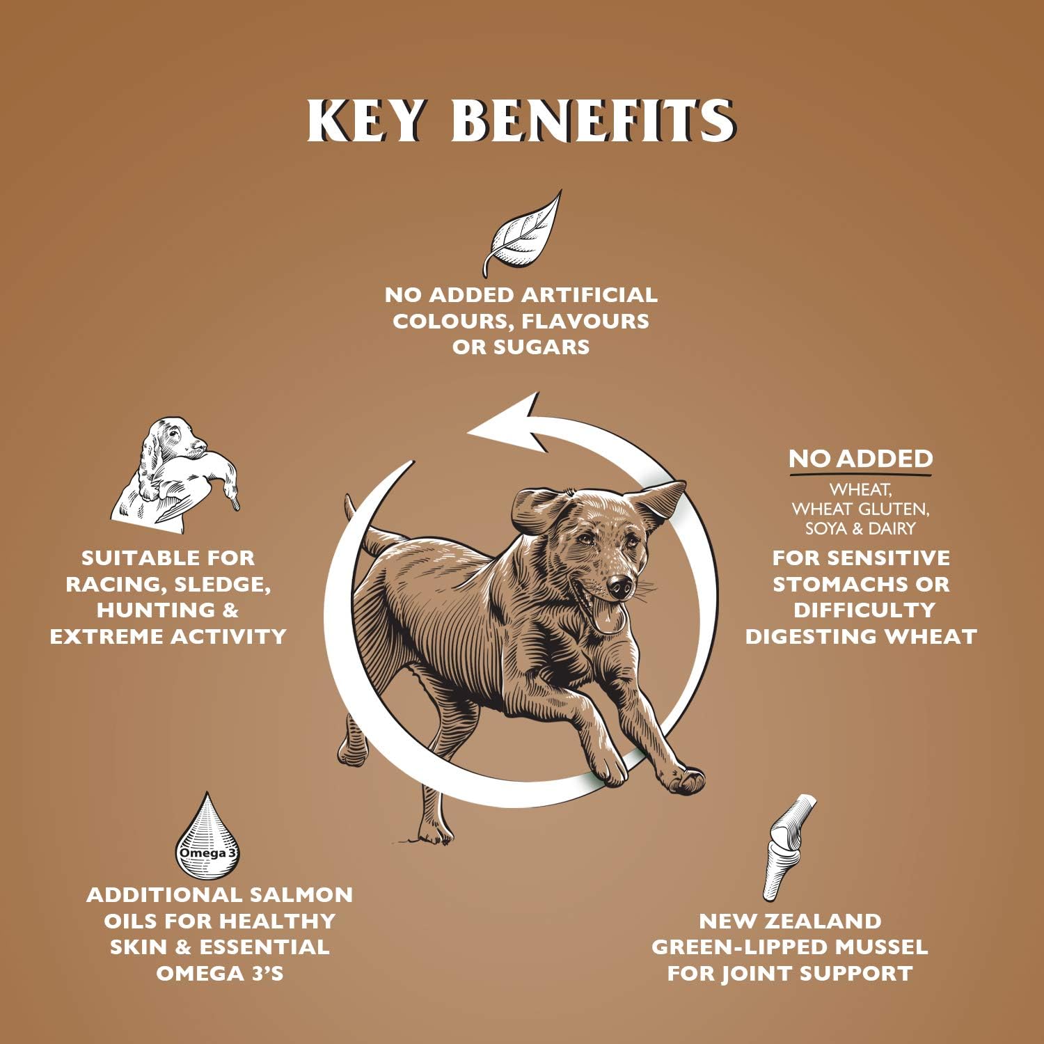 Dr John Hypoallergenic Activ – karma dla aktywnych psów wrażliwych, 12,5 kg - Premium Dog Food from Gilbertson & Page - Just $44.90! Shop now at Gilbertson & Page Europe