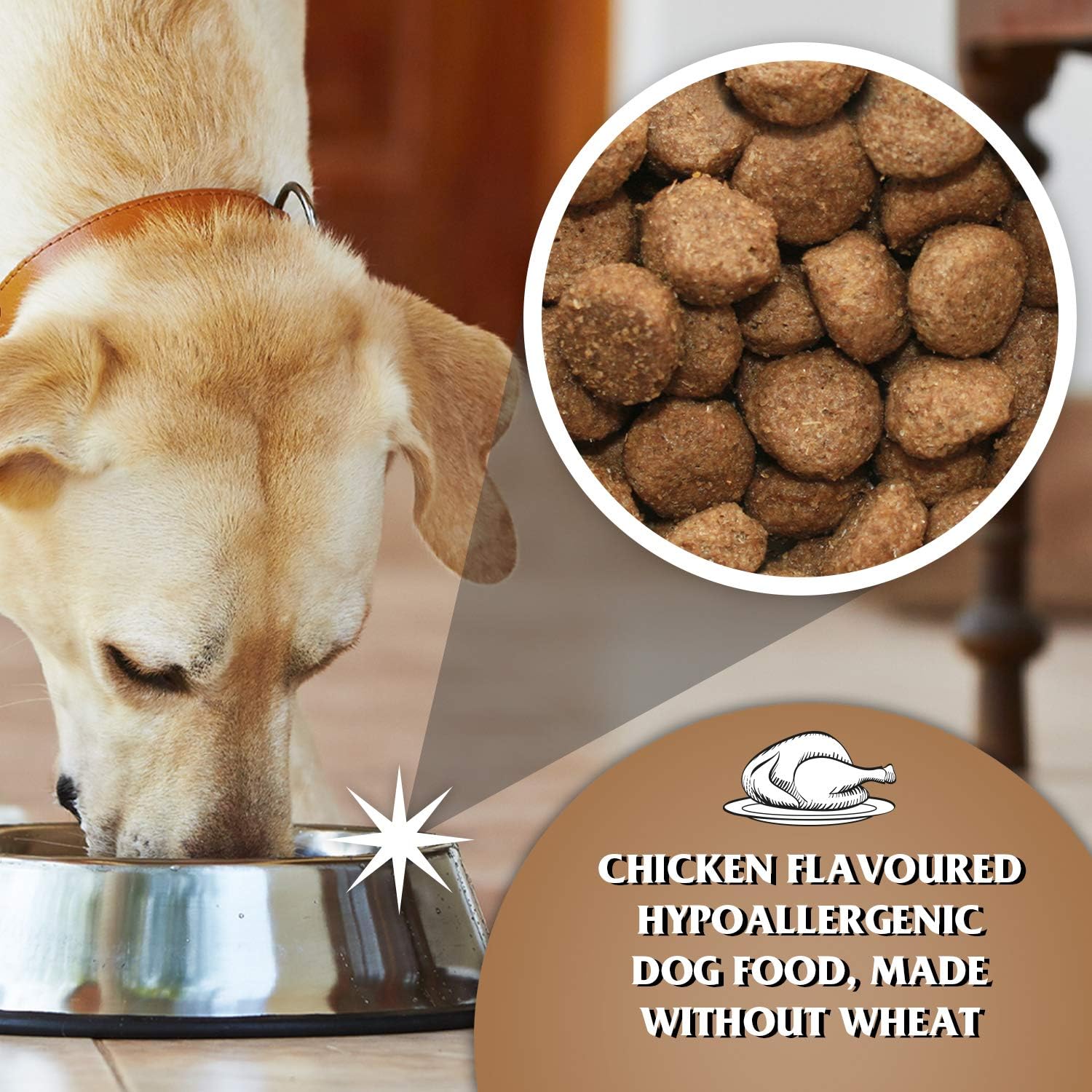 Dr John Hypoallergenic Activ – karma dla aktywnych psów wrażliwych, 12,5 kg - Premium Dog Food from Gilbertson & Page - Just $44.90! Shop now at Gilbertson & Page Europe