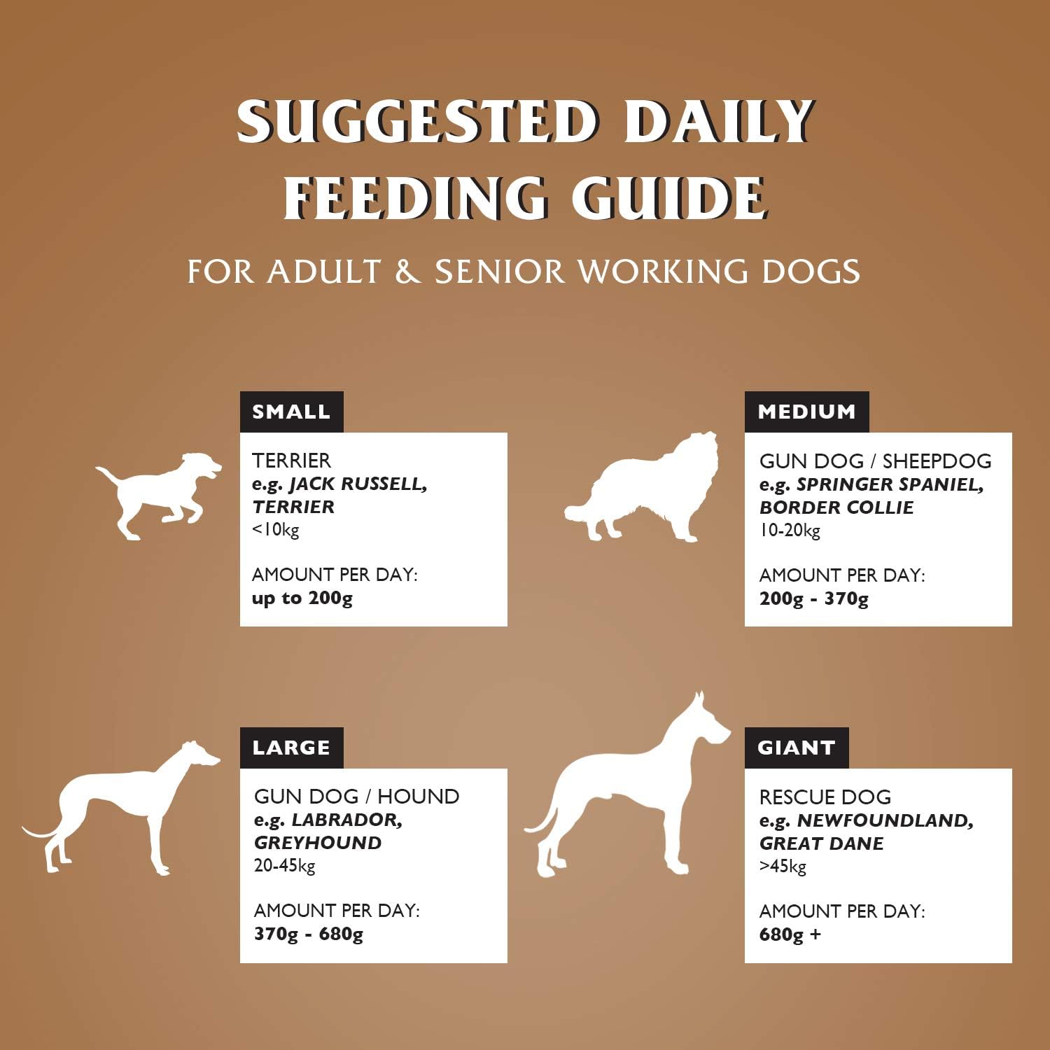 Dr John Hypoallergenic Activ – karma dla aktywnych psów wrażliwych, 12,5 kg - Premium Dog Food from Gilbertson & Page - Just $44.90! Shop now at Gilbertson & Page Europe