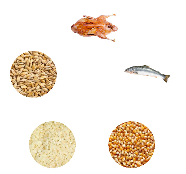 Dr John Hypoallergenic – kaczka i łosoś, bez kurczaka, karma dla psów wrażliwych, 12,5 kg - Premium Dog Food from Gilbertson & Page - Just $41.50! Shop now at Gilbertson & Page Europe