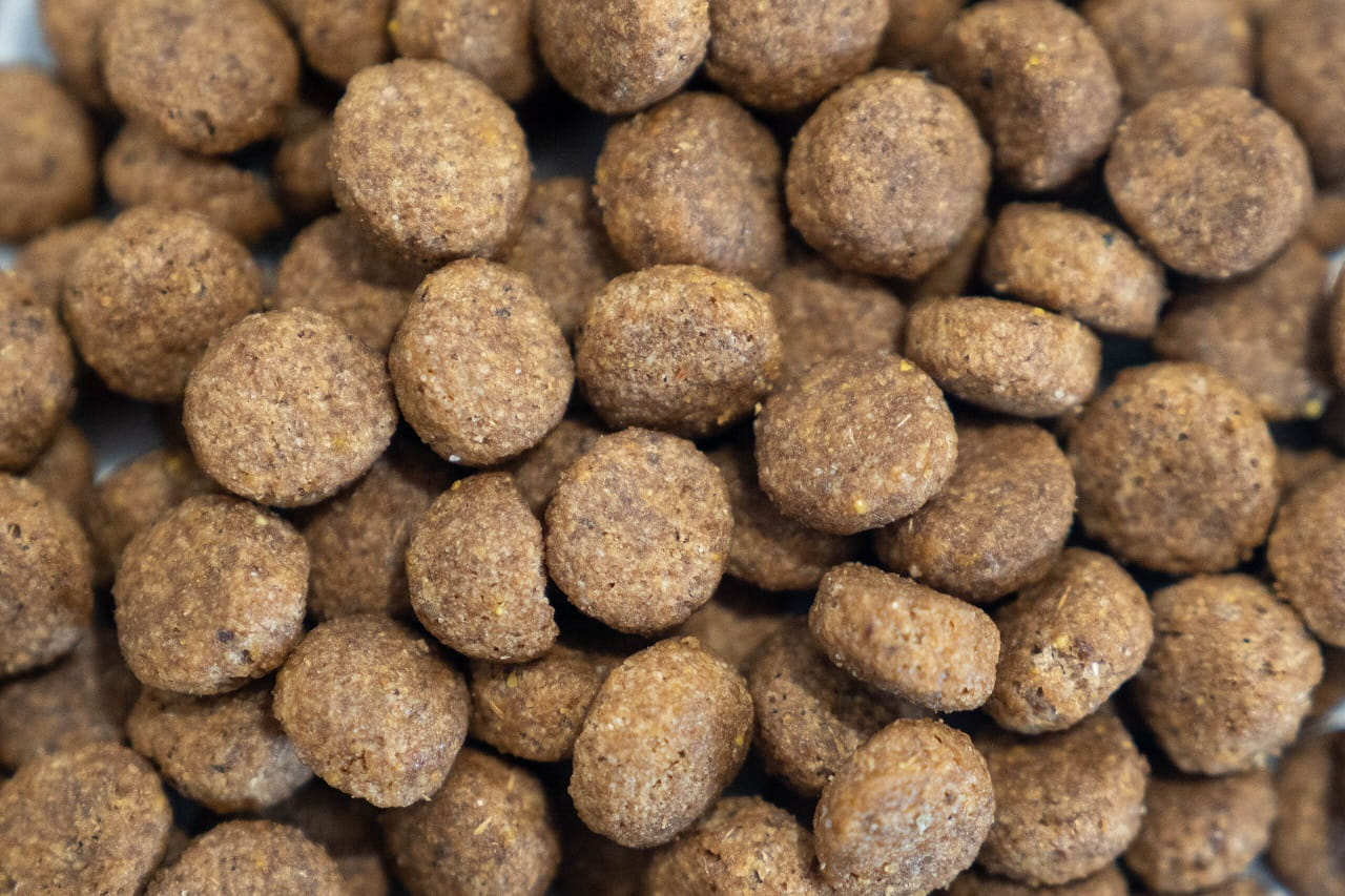 Nourriture pour chien Dr John Hypoallergénique – Canard et saumon, sans poulet, pour chiens sensibles, pack 3X2kg