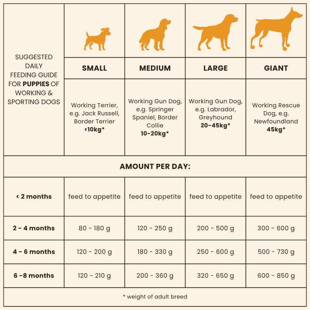 Hundfoder Dr John Puppy – Komplett foder för valpar, 3x2 kg paket