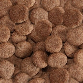 Arkwrights Beef 4 kg – Kompletna karma z wołowiną dla dorosłych psów - Premium Dog Food from Gilbertson & Page - Just $8.50! Shop now at Gilbertson & Page Europe