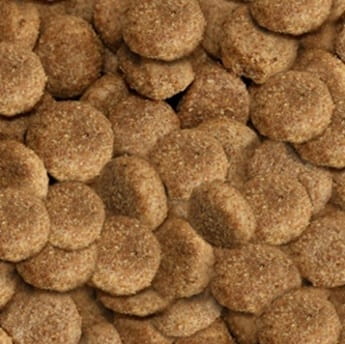 Arkwrights Chicken 15 kg – Kompletna karma z kurczakiem dla dorosłych psów - Premium Dog Food from Gilbertson & Page - Just $28.90! Shop now at Gilbertson & Page Europe