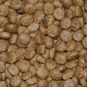 Dr John Grain Free – kurczak z ziemniakami, karma bez zbóż, 12,5 kg - Premium Dog Food from Gilbertson & Page - Just $49.50! Shop now at Gilbertson & Page Europe