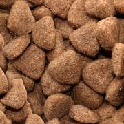 Gilpa Kennel 15kg – Kompletna karma dla dużych psów dorosłych - Premium Dog Food from Gilbertson & Page - Just $36.90! Shop now at Gilbertson & Page Europe