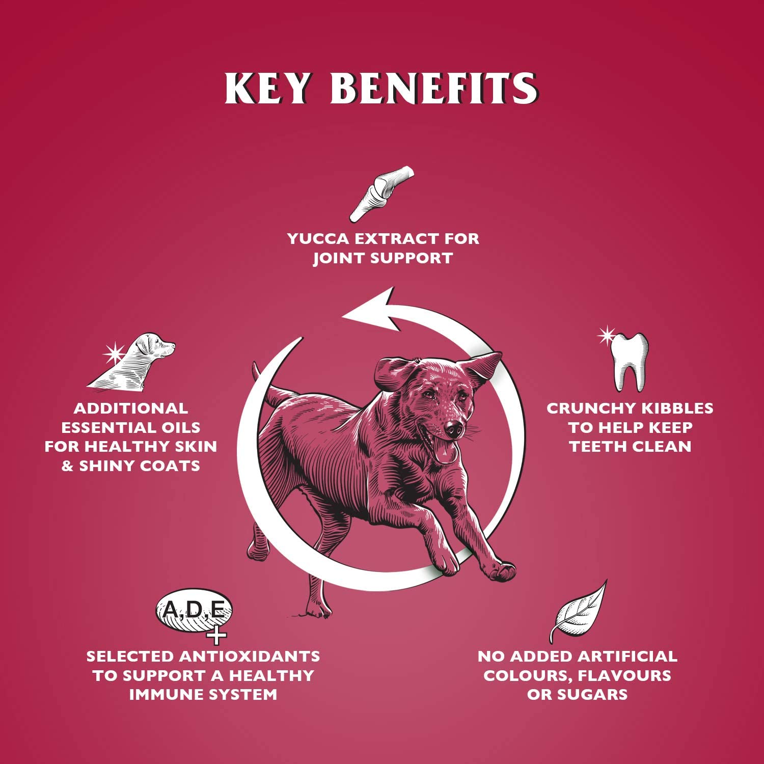 Dr John Silver – wołowina z warzywami, karma dla dorosłych psów oraz psich seniorów, 15 kg - Premium Dog Food from Gilbertson & Page - Just $31.50! Shop now at Gilbertson & Page Europe