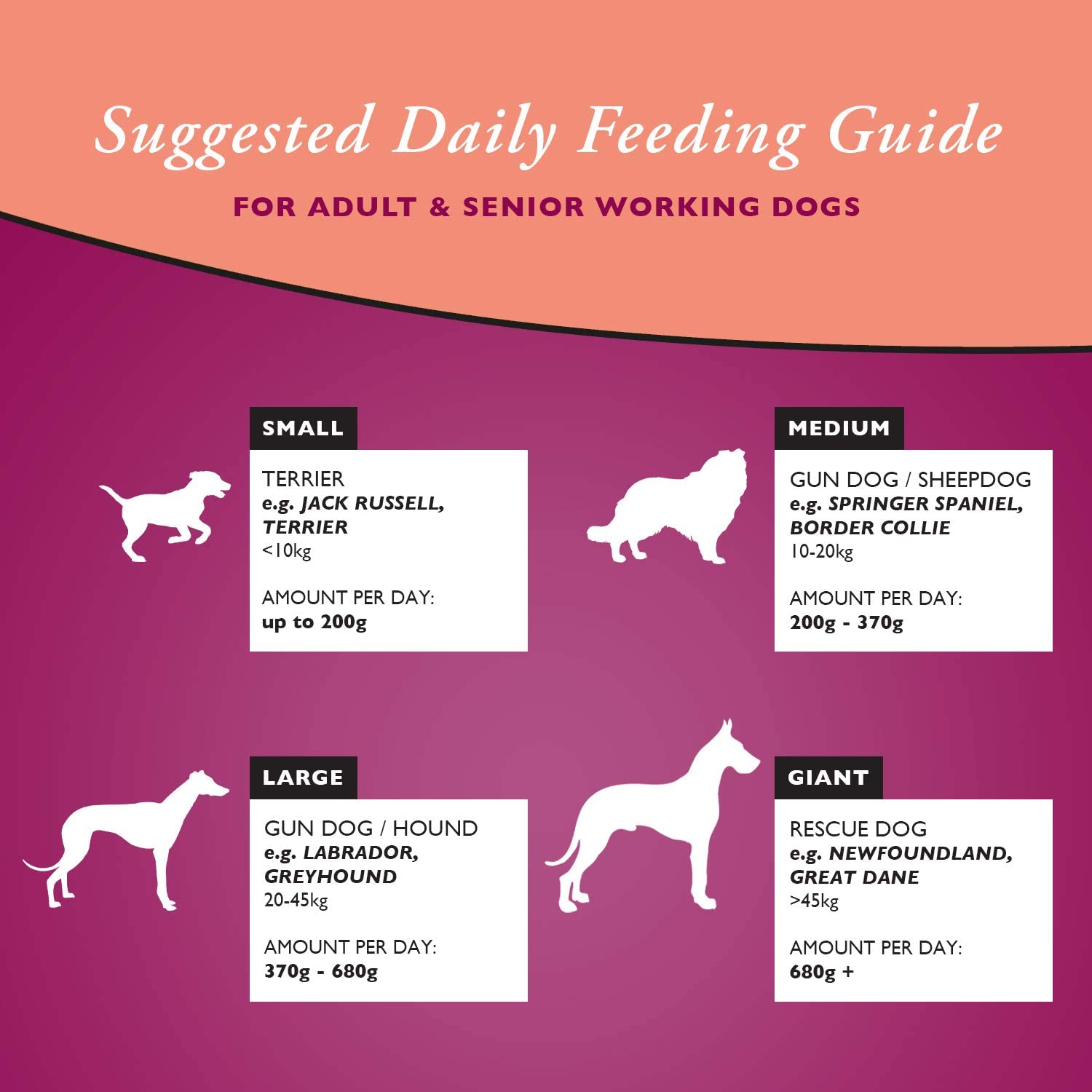 Arkwrights Sporting 15 kg – Karma energetyczna dla psów aktywnych - Premium Dog Food from Gilbertson & Page - Just $33.90! Shop now at Gilbertson & Page Europe