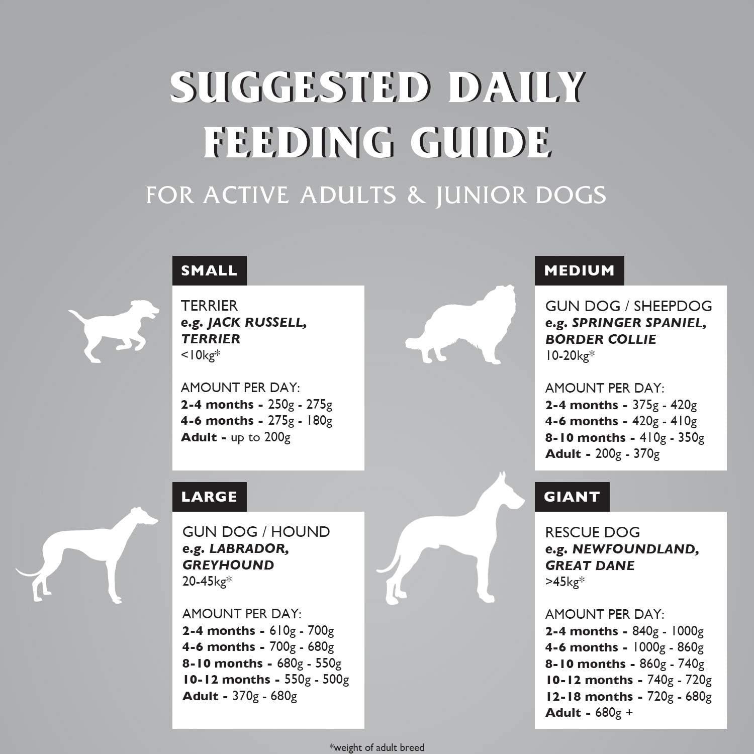 Dr John Titanium – kurczak z warzywami, karma dla młodych oraz aktywnych psów dorosłych, 4 kg - Premium Dog Food from Gilbertson & Page - Just $14! Shop now at Gilbertson & Page Europe