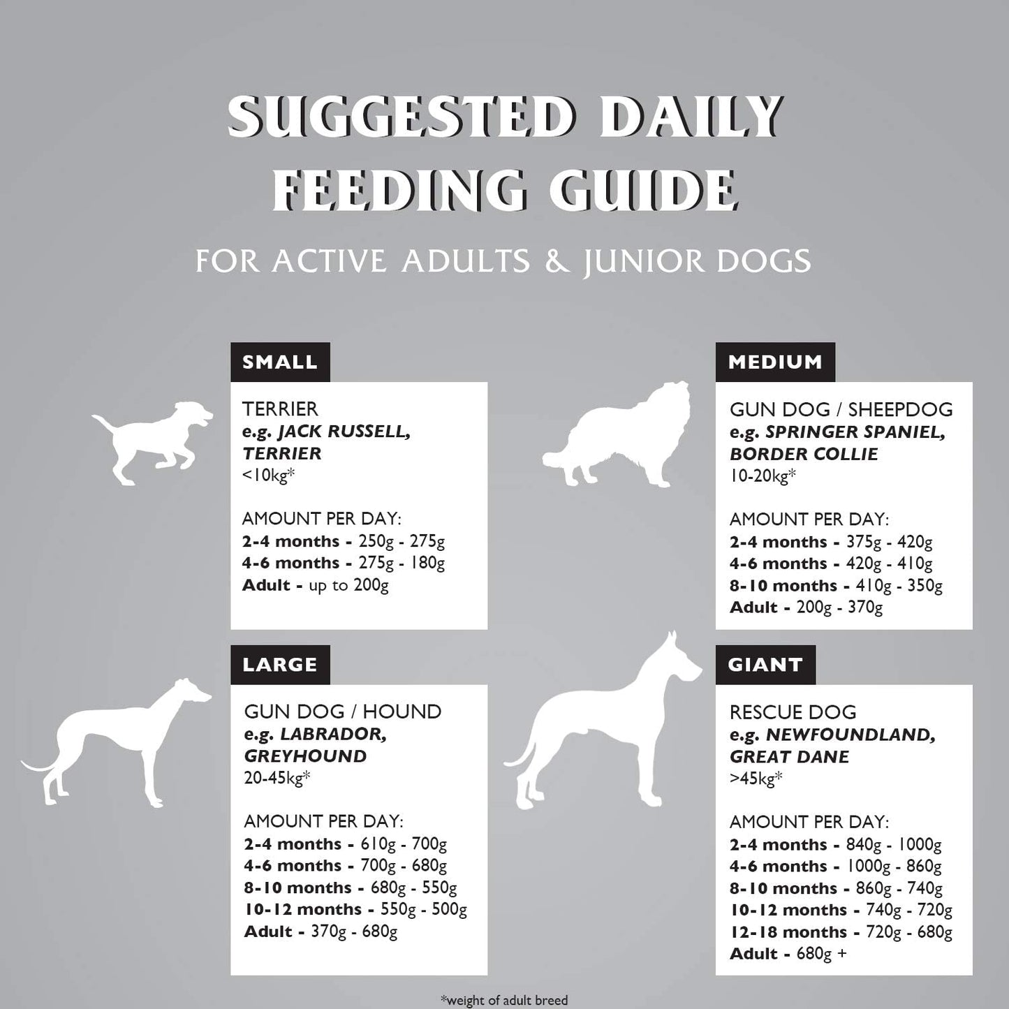 Dr John Titanium – kurczak z warzywami, karma dla młodych oraz aktywnych psów dorosłych, 4 kg - Premium Dog Food from Gilbertson & Page - Just $14! Shop now at Gilbertson & Page Europe