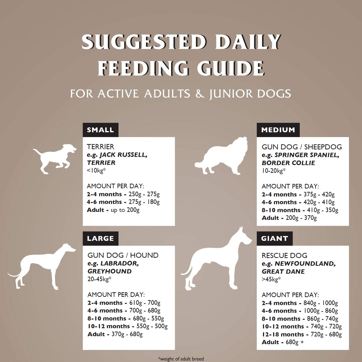 Dr John Grain Free – kurczak z ziemniakami, karma bez zbóż, 12,5 kg - Premium Dog Food from Gilbertson & Page - Just $49.50! Shop now at Gilbertson & Page Europe