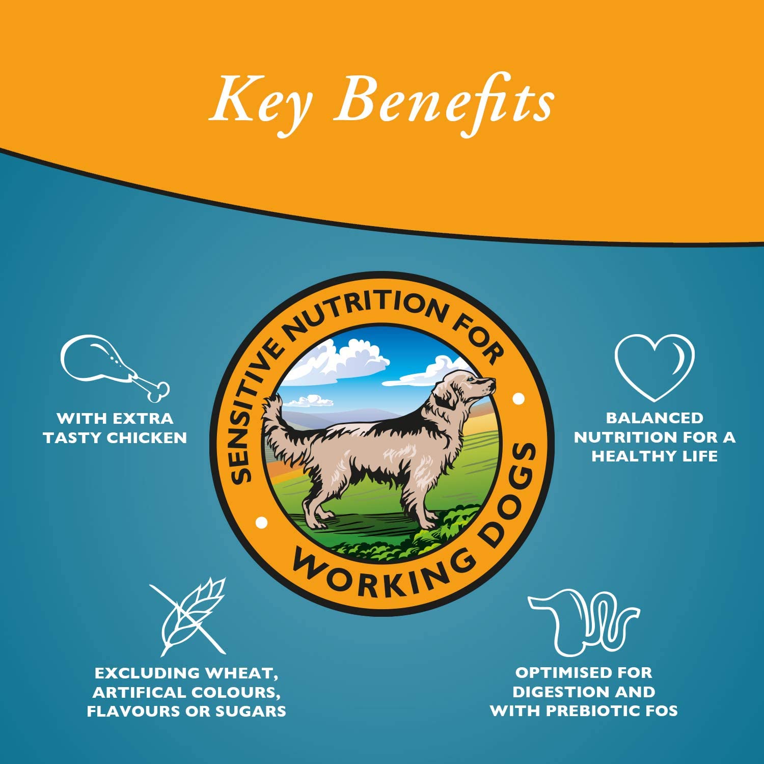 Arkwrights Sensitive 15 kg – Kompletna karma dla psów o wrażliwym układzie trawiennym - Premium Dog Food from Gilbertson & Page - Just $33.90! Shop now at Gilbertson & Page Europe