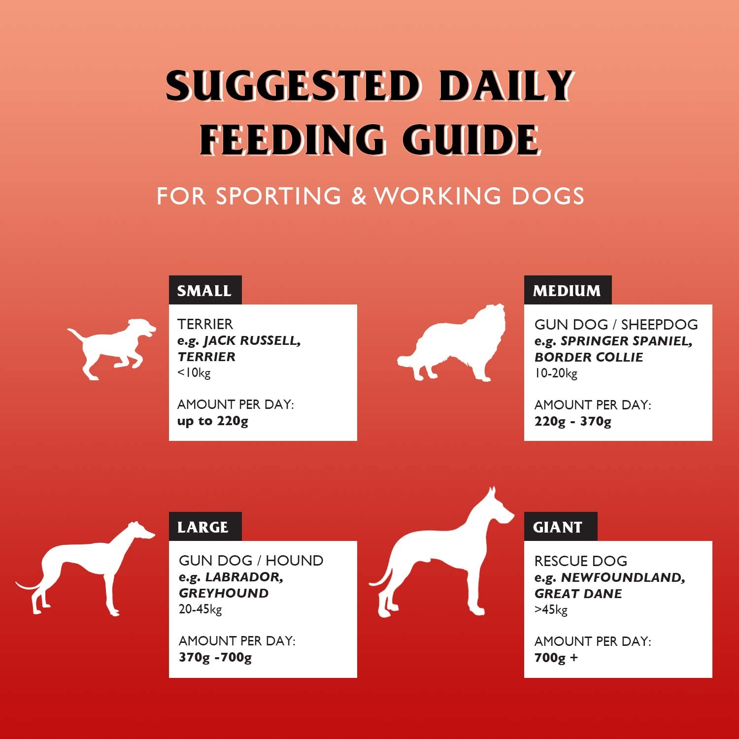 Gilpa Kennel 15kg – Kompletna karma dla dużych psów dorosłych - Premium Dog Food from Gilbertson & Page - Just $36.90! Shop now at Gilbertson & Page Europe