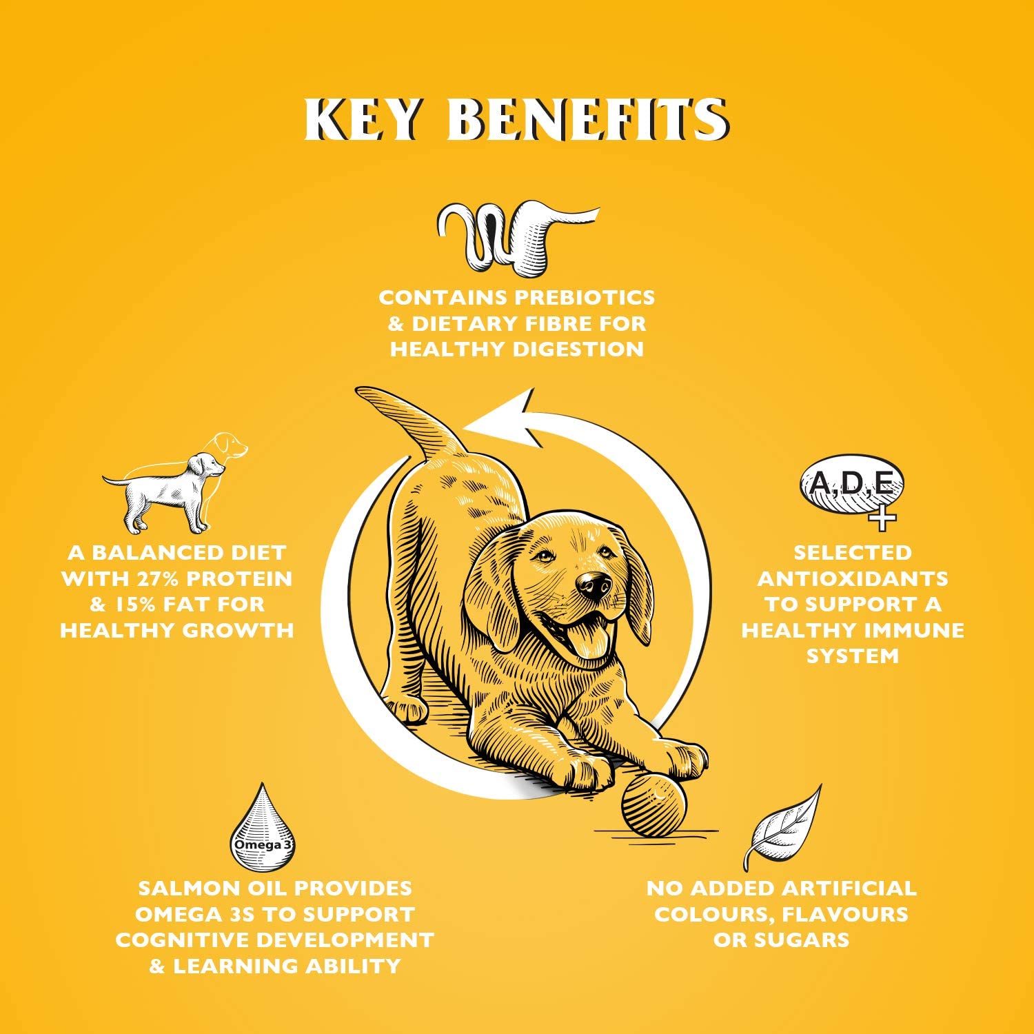 Dr John Puppy – karma dla szczeniąt, 10 kg - Premium Dog Food from Gilbertson & Page - Just $33.50! Shop now at Gilbertson & Page Europe