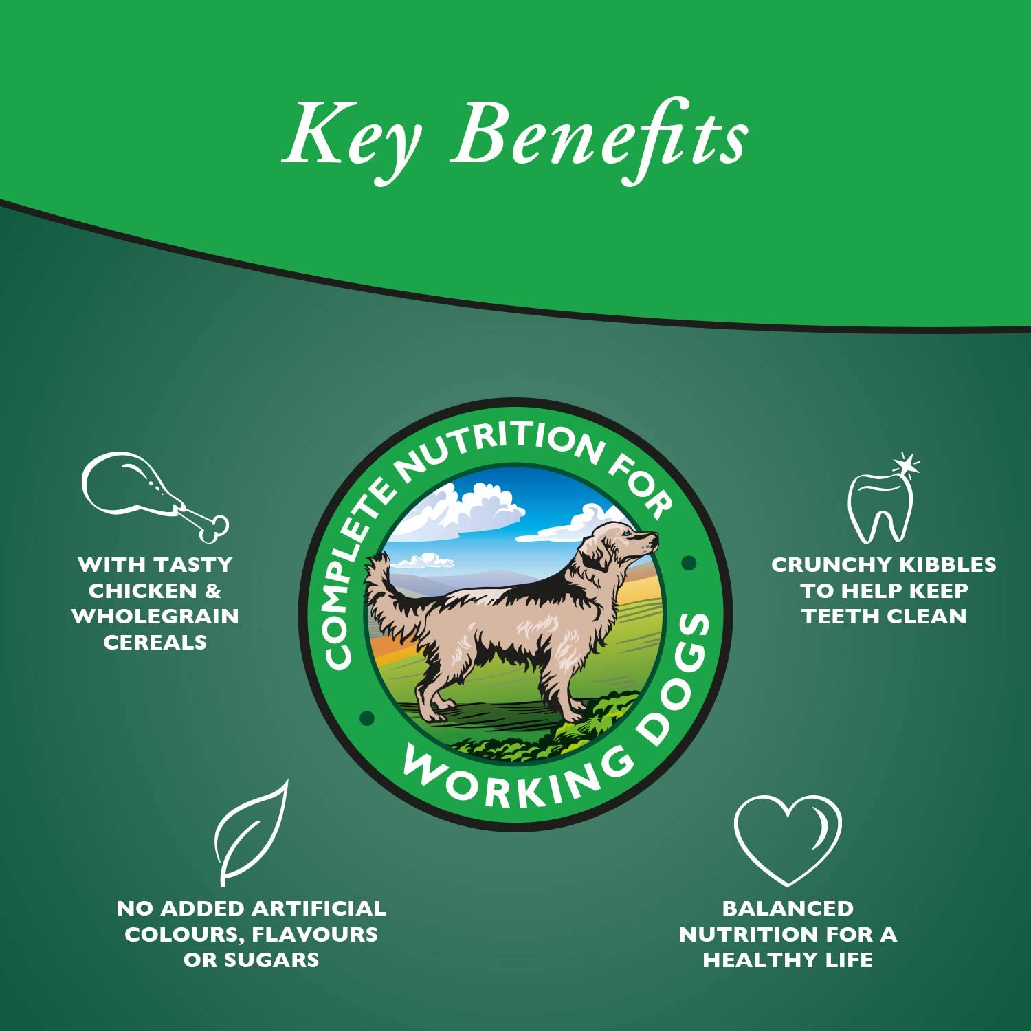 Arkwrights Chicken 15 kg – Kompletna karma z kurczakiem dla dorosłych psów - Premium Dog Food from Gilbertson & Page - Just $28.90! Shop now at Gilbertson & Page Europe