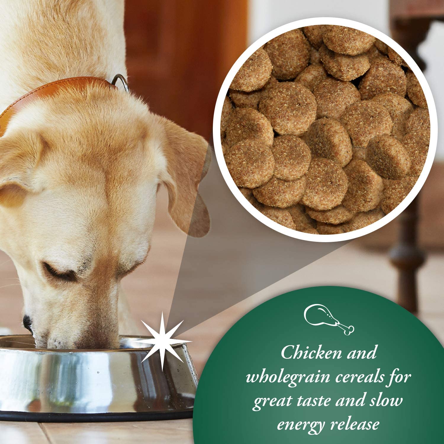 Arkwrights Chicken 15 kg – Kompletna karma z kurczakiem dla dorosłych psów - Premium Dog Food from Gilbertson & Page - Just $28.90! Shop now at Gilbertson & Page Europe