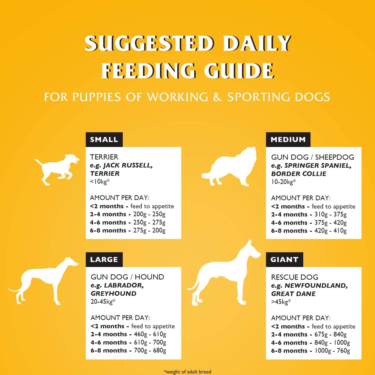 Dr John Puppy – karma dla szczeniąt, 10 kg - Premium Dog Food from Gilbertson & Page - Just $33.50! Shop now at Gilbertson & Page Europe