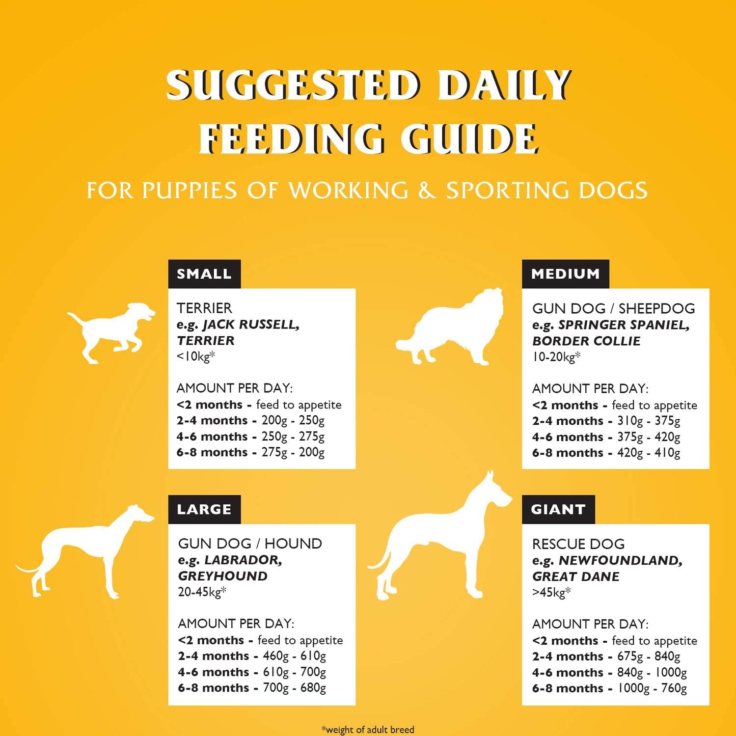 Dr John Puppy – karma dla szczeniąt, 10 kg - Premium Dog Food from Gilbertson & Page - Just $33.50! Shop now at Gilbertson & Page Europe