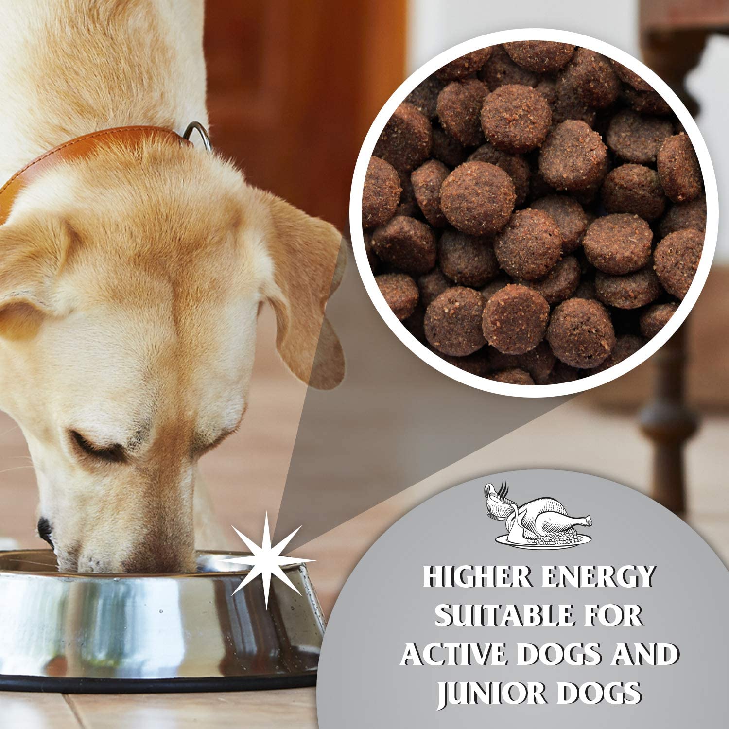 Dr John Titanium – kurczak z warzywami, karma dla młodych oraz aktywnych psów dorosłych, 15 kg - Premium Dog Food from Gilbertson & Page - Just $35.50! Shop now at Gilbertson & Page Europe