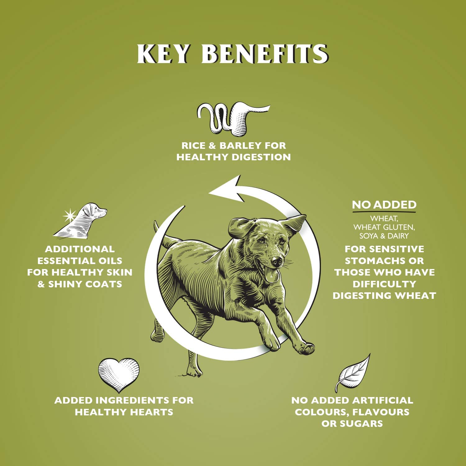 Dr John Hypoallergenic – jagnięcina z ryżem, bez pszenicy, karma dla psów wrażliwych, 4 kg - Premium Dog Food from Gilbertson & Page - Just $14! Shop now at Gilbertson & Page Europe