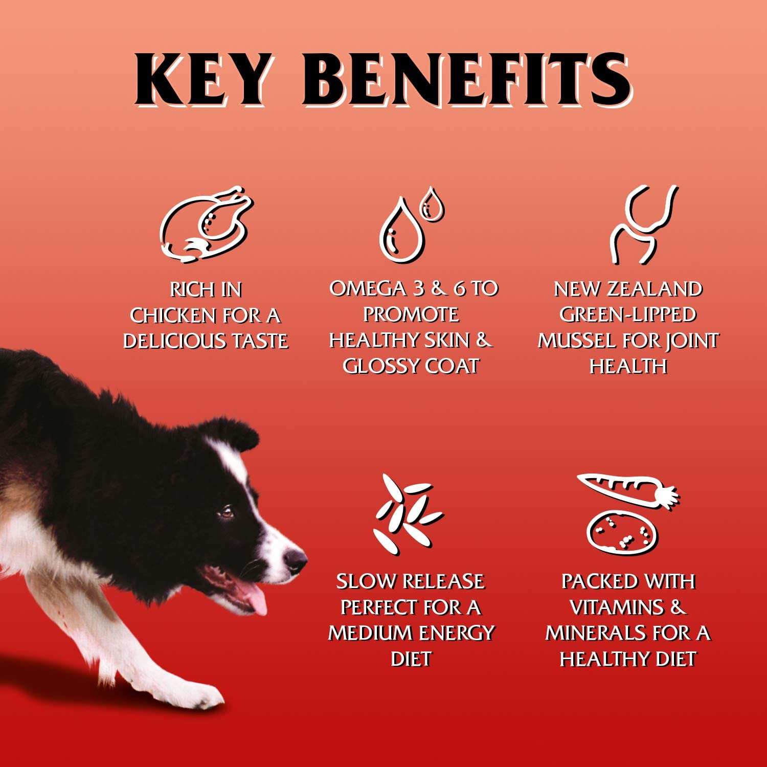 Gilpa Kennel 15kg – Kompletna karma dla dużych psów dorosłych - Premium Dog Food from Gilbertson & Page - Just $36.90! Shop now at Gilbertson & Page Europe