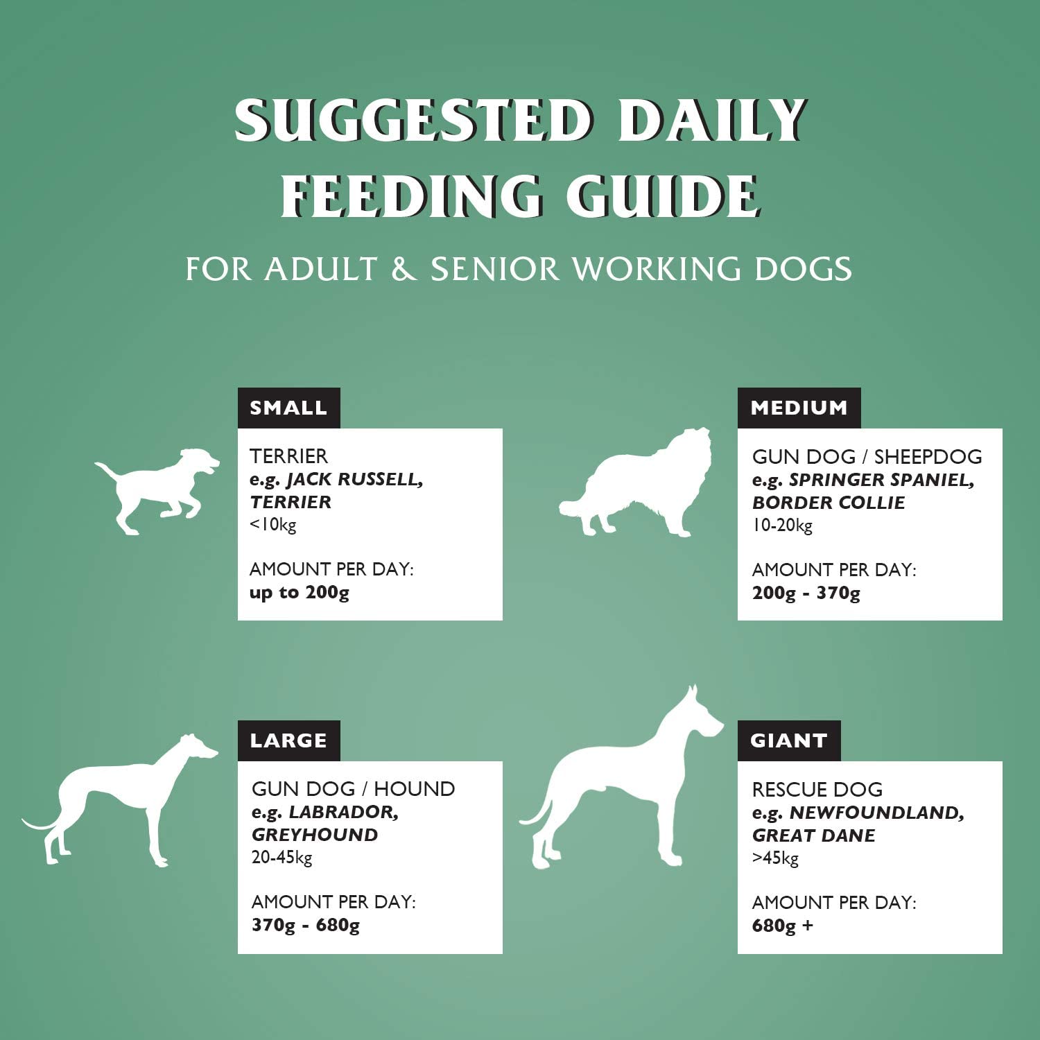 Dr John Hypoallergenic CHICKEN with OATS 15 kg - Premium Dog Food from Gilbertson & Page - Just $37! Shop now at Gilbertson & Page Europe
