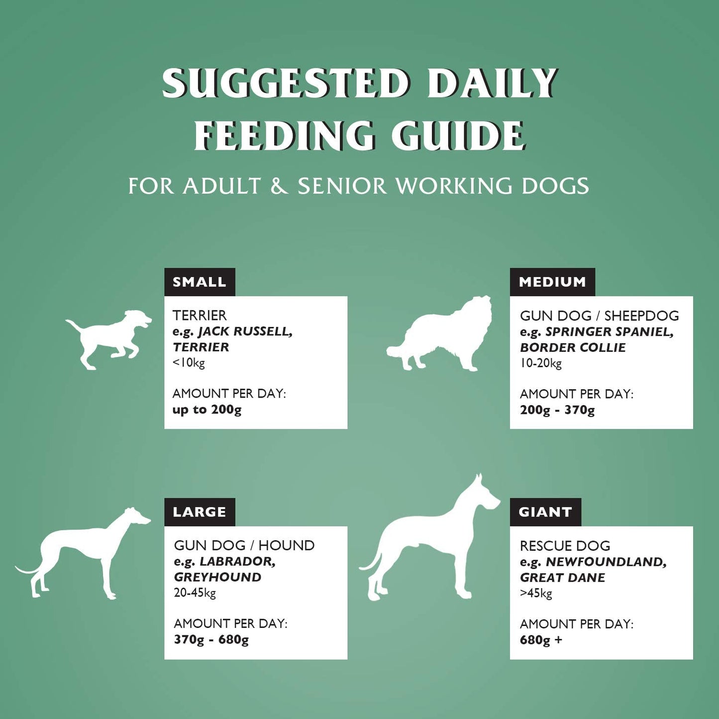 Dr John Hypoallergenic – kurczak z owsem, bez pszenicy, karma dla psów wrażliwych 4 kg - Premium Dog Food from Gilbertson & Page - Just $14! Shop now at Gilbertson & Page Europe