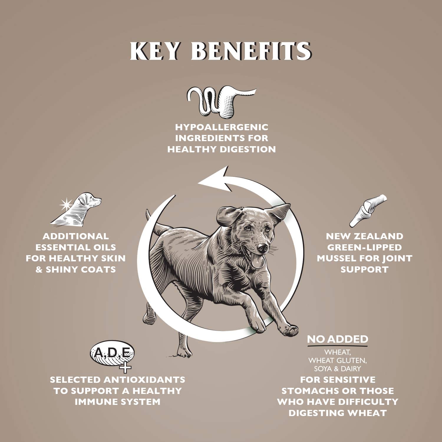 Dr John Grain Free – kurczak z ziemniakami, karma bez zbóż, 12,5 kg - Premium Dog Food from Gilbertson & Page - Just $49.50! Shop now at Gilbertson & Page Europe