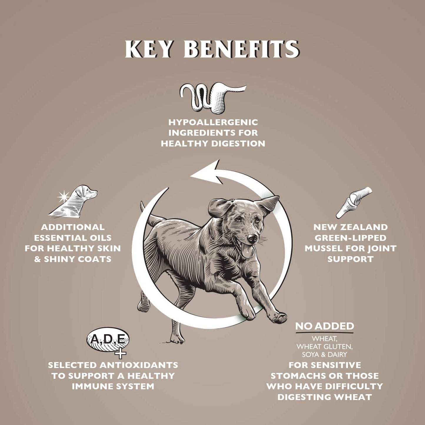 Dr John Grain Free – kurczak z ziemniakami, karma bez zbóż, 12,5 kg - Premium Dog Food from Gilbertson & Page - Just $49.50! Shop now at Gilbertson & Page Europe