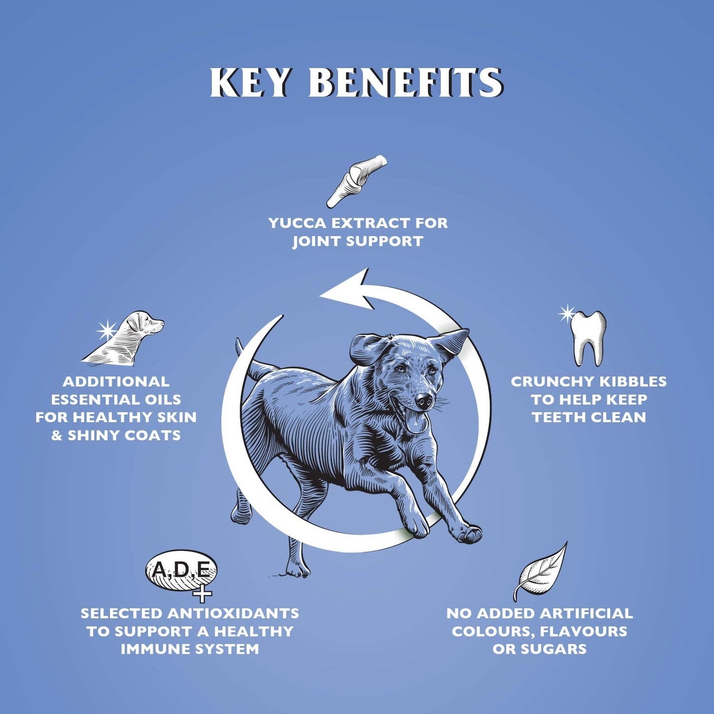 Dr John Silver – kurczak z warzywami, karma dla dorosłych psów oraz psich seniorów, 15 kg - Premium Dog Food from Gilbertson & Page - Just $31.50! Shop now at Gilbertson & Page Europe