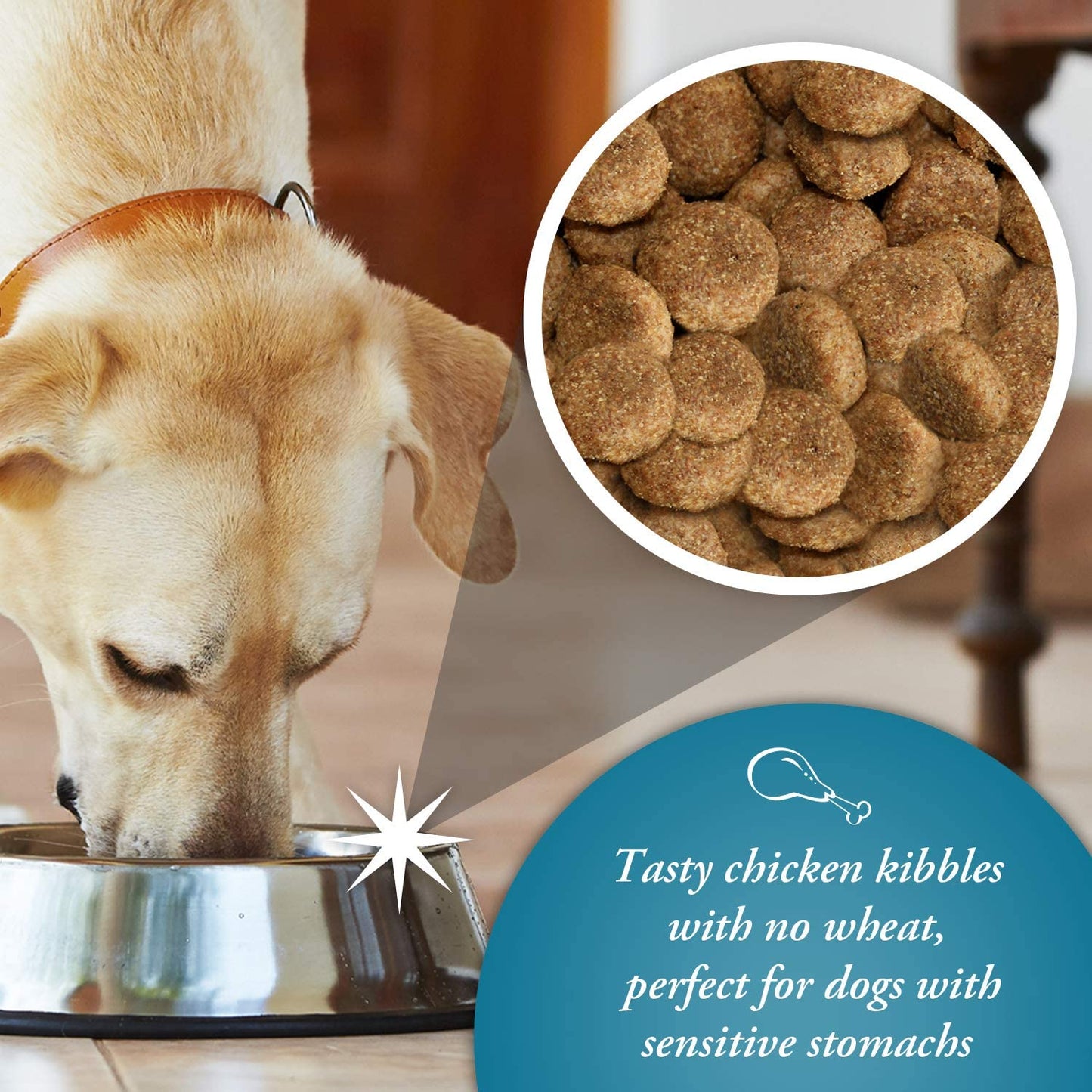 Arkwrights Sensitive 15 kg – Kompletna karma dla psów o wrażliwym układzie trawiennym - Premium Dog Food from Gilbertson & Page - Just $33.90! Shop now at Gilbertson & Page Europe