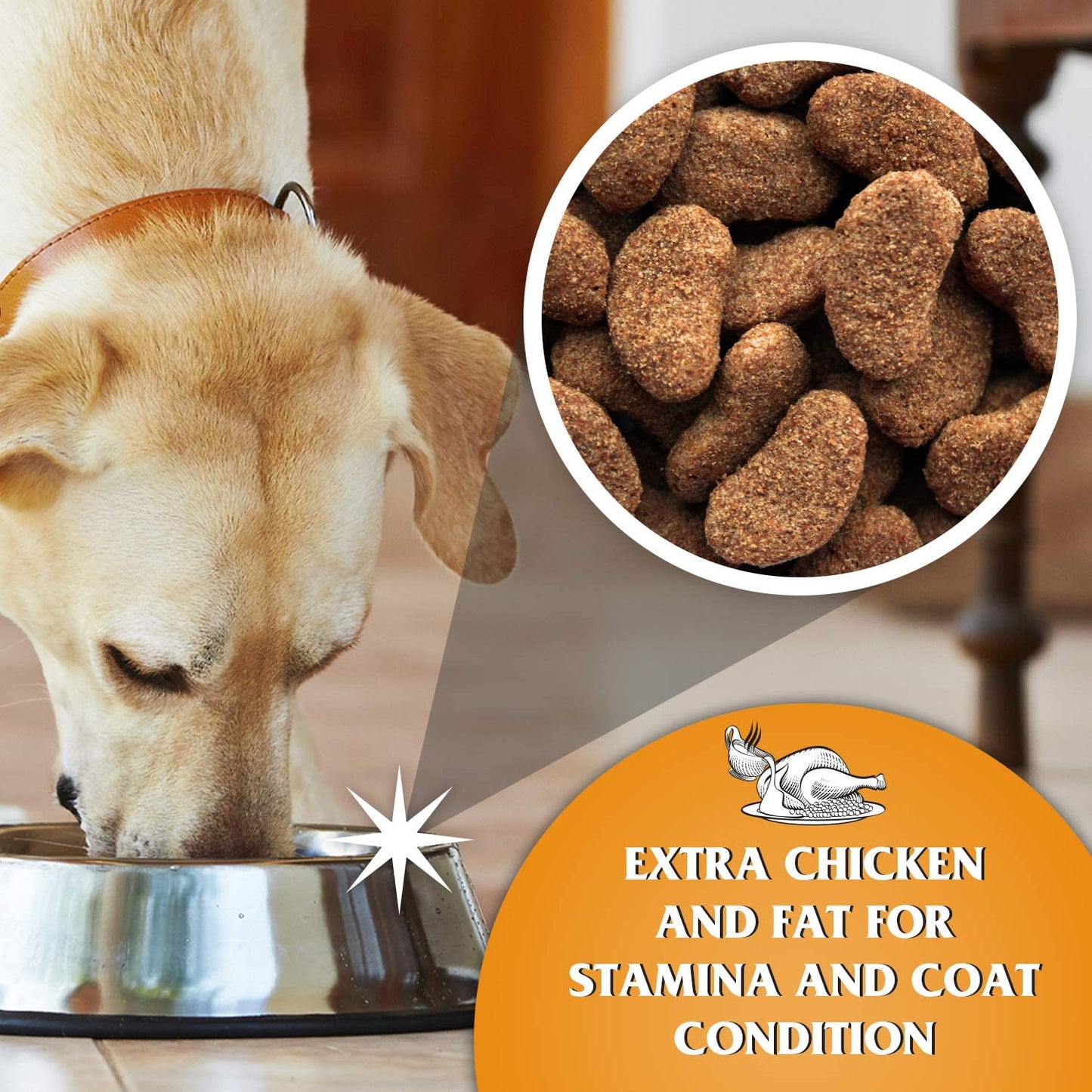 Dr John GOLD Rich in CHICKEN with VEGETABLES 15 kg - Premium Dog Food from Gilbertson & Page - Just $32.50! Shop now at Gilbertson & Page Europe