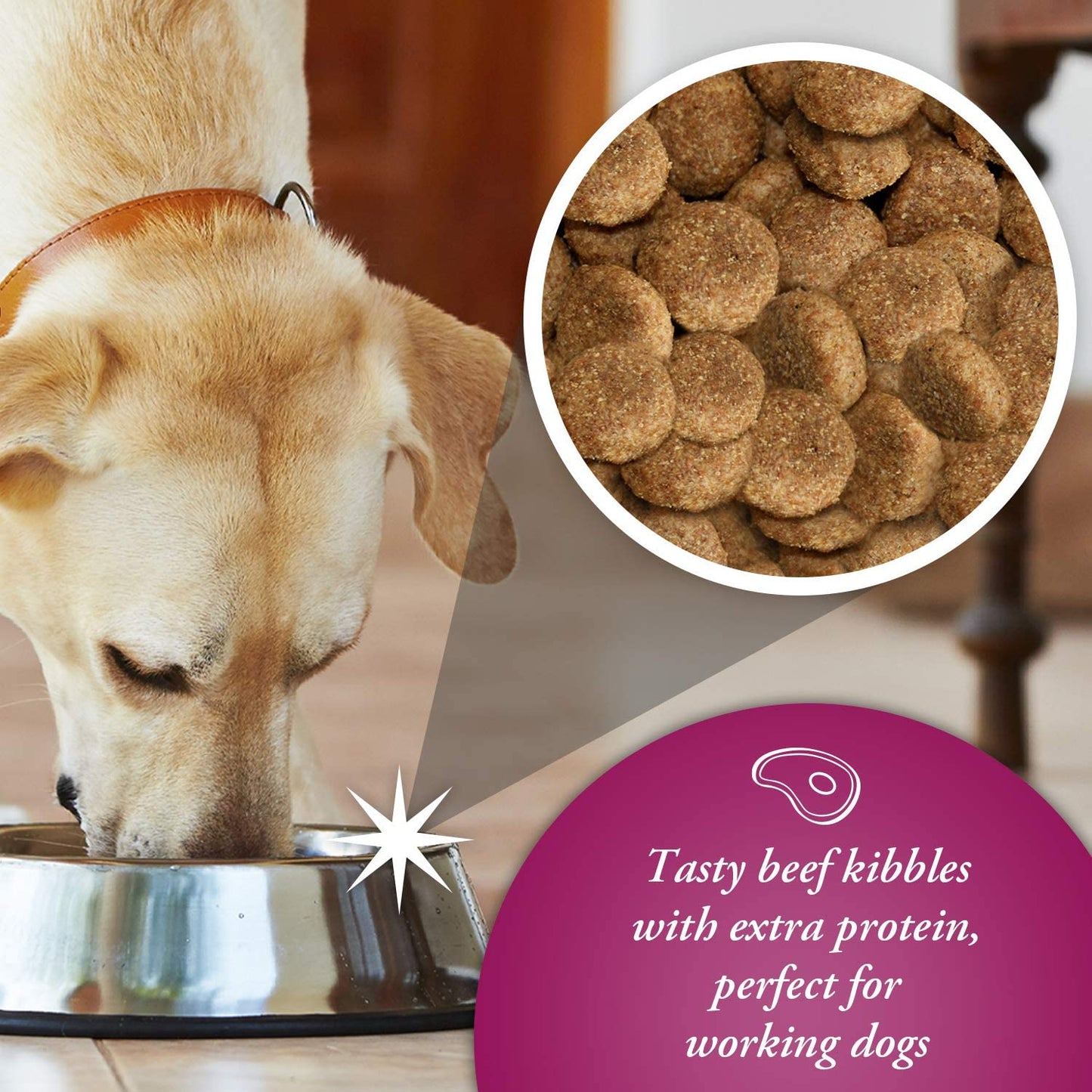 Arkwrights Sporting 15 kg – Karma energetyczna dla psów aktywnych - Premium Dog Food from Gilbertson & Page - Just $33.90! Shop now at Gilbertson & Page Europe