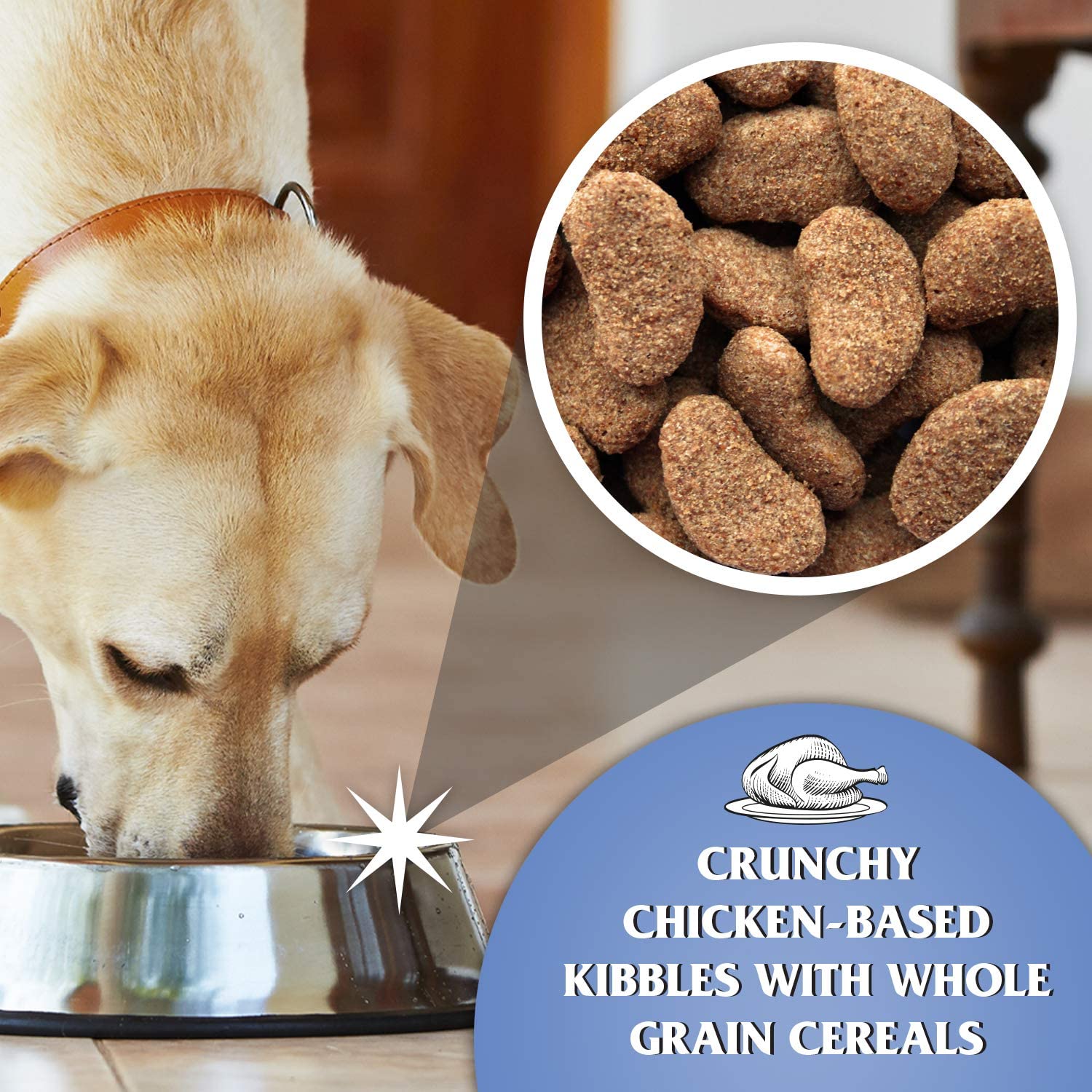 Dr John Silver – kurczak z warzywami, karma dla dorosłych psów oraz psich seniorów, 15 kg - Premium Dog Food from Gilbertson & Page - Just $31.50! Shop now at Gilbertson & Page Europe