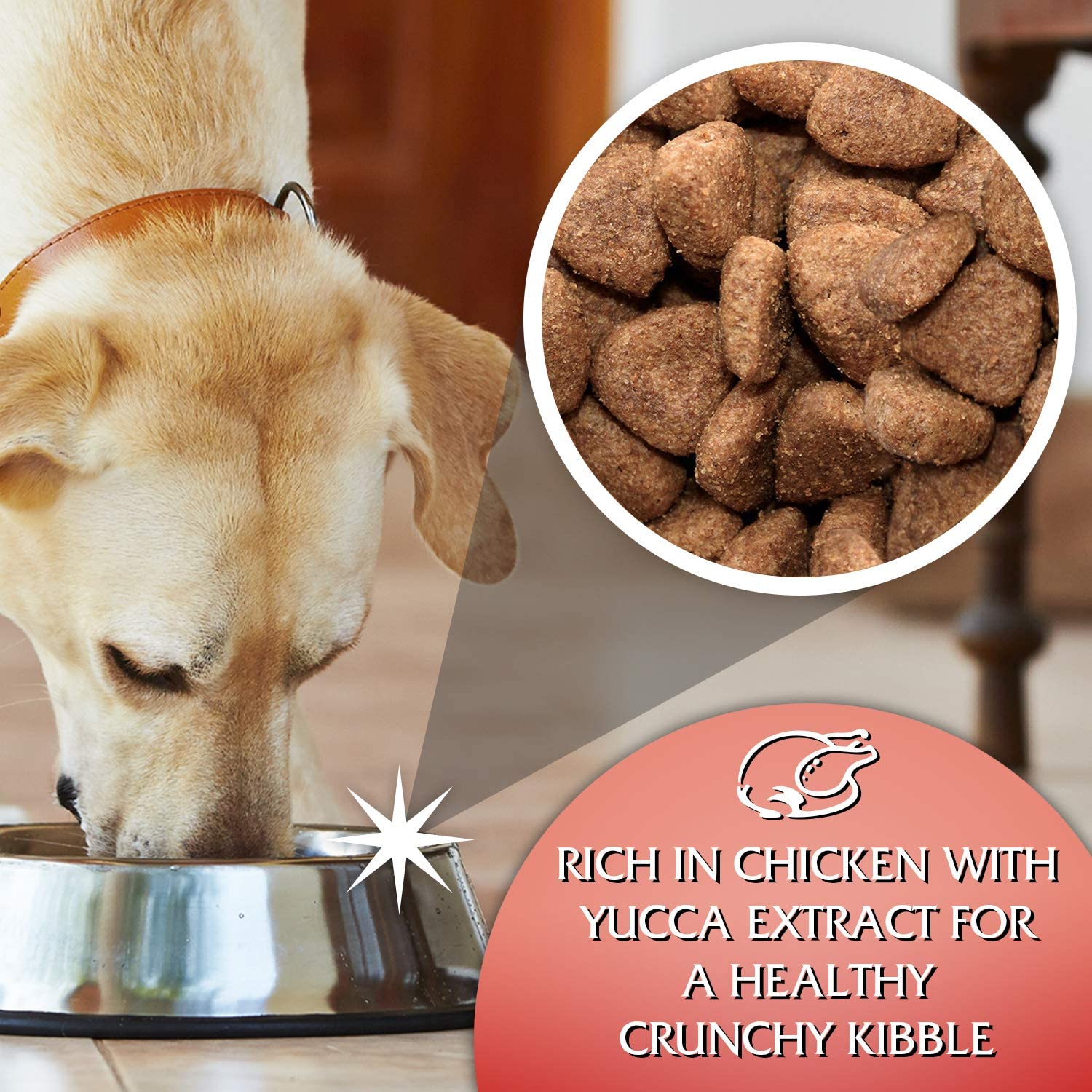 Gilpa Kennel 15kg – Kompletna karma dla dużych psów dorosłych - Premium Dog Food from Gilbertson & Page - Just $36.90! Shop now at Gilbertson & Page Europe