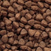 Gilpa UMAMI 15kg – Smaczna i zbilansowana karma dla dorosłych kotów - Premium Cat Food from Gilbertson & Page - Just $39.90! Shop now at Gilbertson & Page Europe