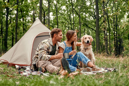 Camping with dogs