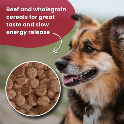 Arkwrights Beef – Rind • Trockenfutter für ausgewachsene Hunde • 15kg