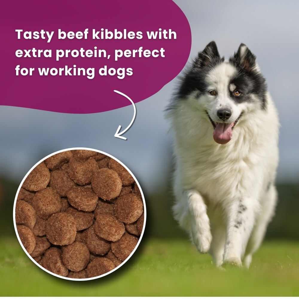 Arkwrights Sporting – hondenvoer voor actieve honden • 15 kg