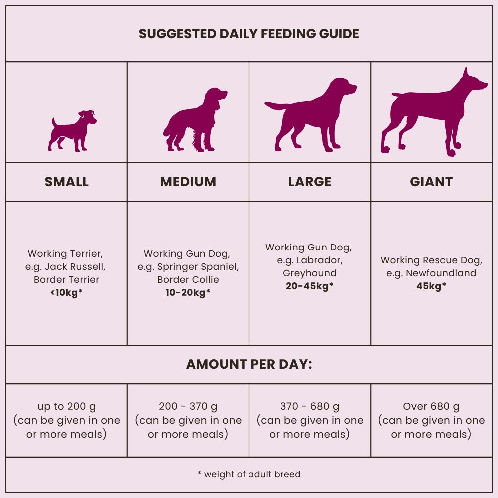 Arkwrights Sporting – hondenvoer voor actieve honden • 15 kg
