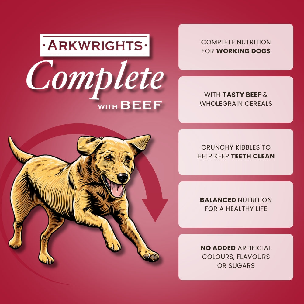 Arkwrights Beef – Rind • Trockenfutter für ausgewachsene Hunde • 15kg