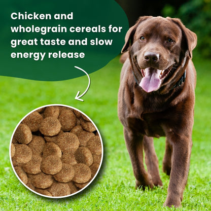 Arkwrights Chicken – hrana za pse s piletinom • 15 kg