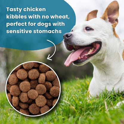 Arkwrights Sensitive – hondenvoer voor gevoelige honden • 15 kg