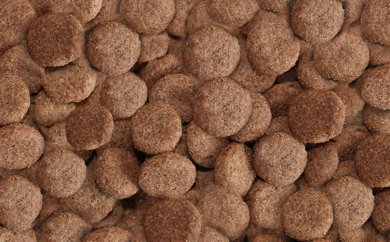 Arkwrights Beef – Rind • Trockenfutter für ausgewachsene Hunde • 4kg