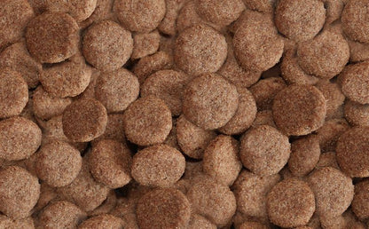 Arkwrights Beef – Rind • Trockenfutter für ausgewachsene Hunde • 4kg