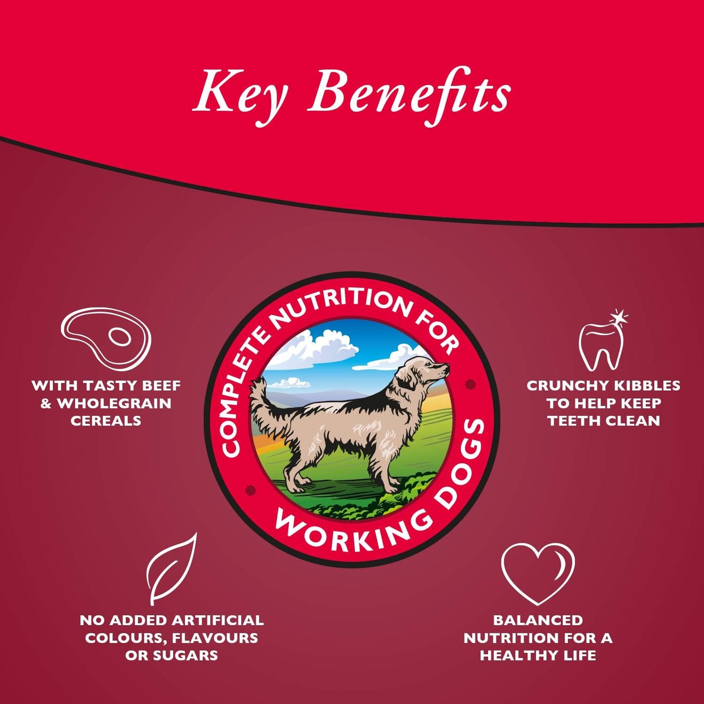Arkwrights Beef – Rind • Trockenfutter für ausgewachsene Hunde • 4kg