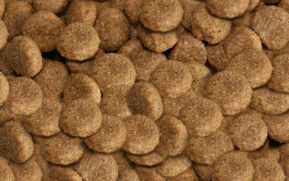 Arkwrights Chicken – Huhn • Trockenfutter für ausgewachsene Hunde • 4kg