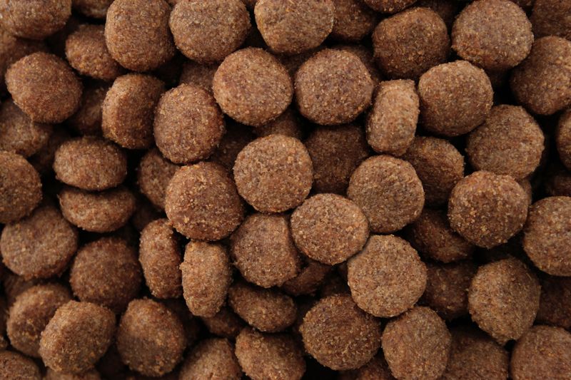 Arkwrights Sensitive – hondenvoer voor gevoelige honden • 15 kg