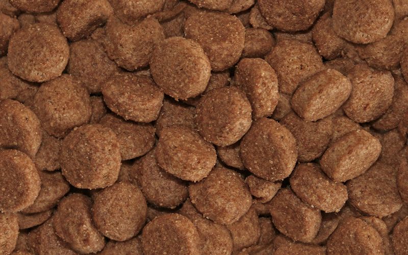 Arkwrights Sporting – hondenvoer voor actieve honden • 15 kg